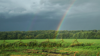 Regenbogen / ***