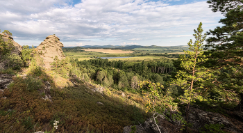 Einheimische Freiflächen / ***