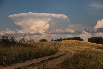 Wolke / ***