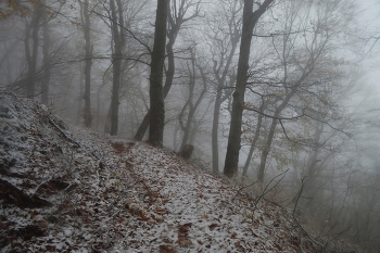 Schneesturm / ***