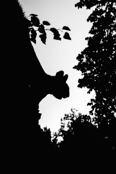 Leben rund um / ***