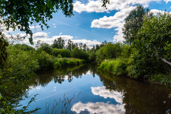 Forest River / ***