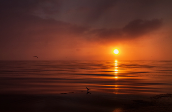 Morgendämmerung / ***