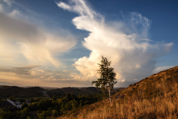 Wolke / ***