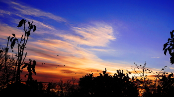 Morgendämmerung / ***