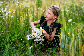 Bouquet von Gänseblümchen / ***