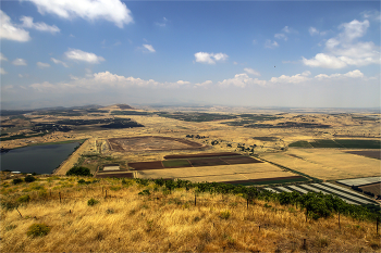 Die Golan Heights / ***