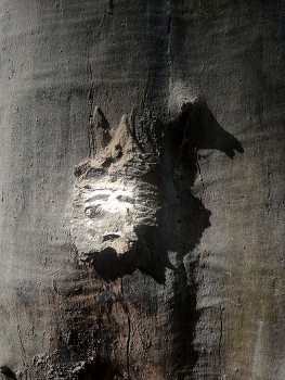 Ghost X / Like in a fairy tale