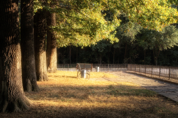 Sommerabend. / ***