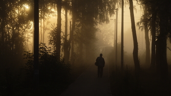 Nebliger Morgen / ***