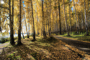 Herbst-Strand / ***