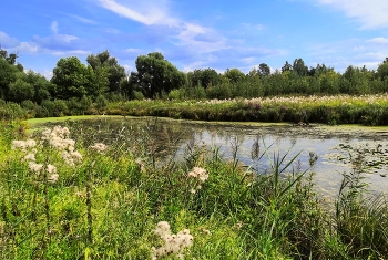 Sommer endet ... / ***