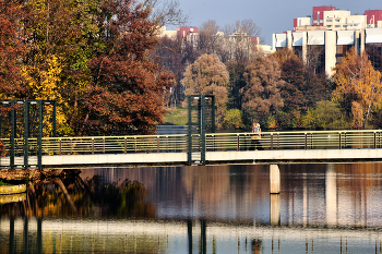 Brücke / ***