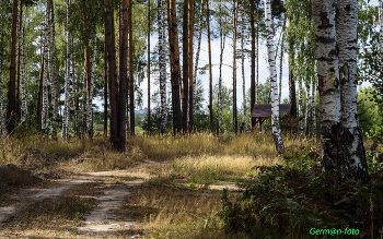 Im Wald / ***