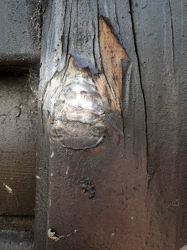 Erscheinung 4 / Ich seh Dich