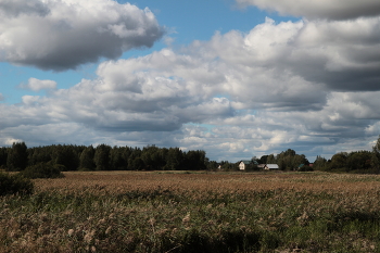 das Dorf / ***