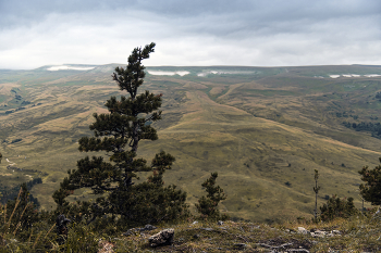 Auf den Felsen / ***