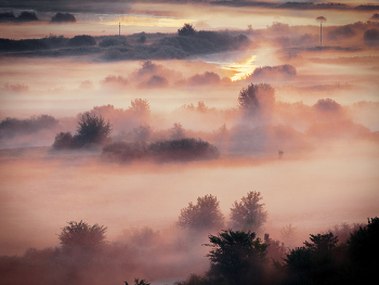 Paints Morgengrauen / ***