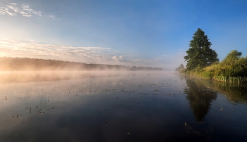 Morgendämmerung / ***