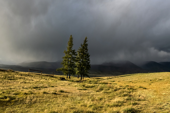 Vor dem Sturm / ***