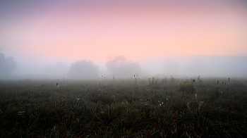 Nebel in den Bereichen / ***