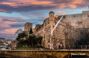 Collioure / ***