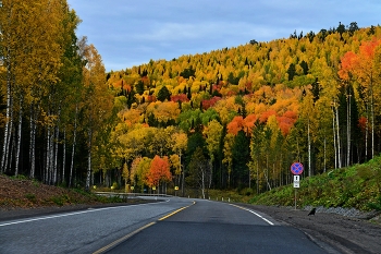 Herbstfarben / ***