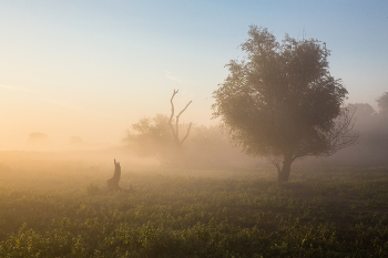 Morgendämmerung / ***