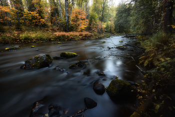 Herbst / ***