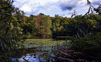 Am Waldsee / ***