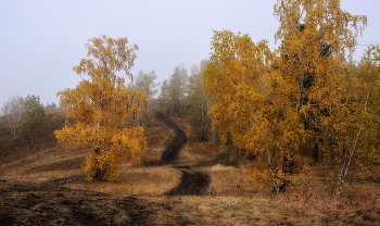 Herbst Trails / ***