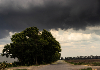 Vor dem Regen / ***