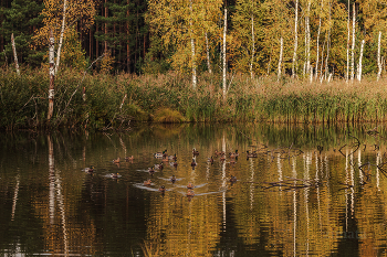 Herbst / ***