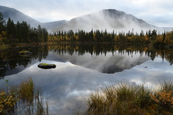 Der frühe Vogel fängt ... / ***
