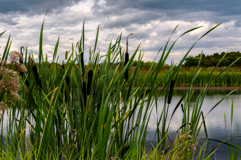 Sommer-Skizzen / ***