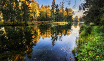 Spiegel im Herbst / ***