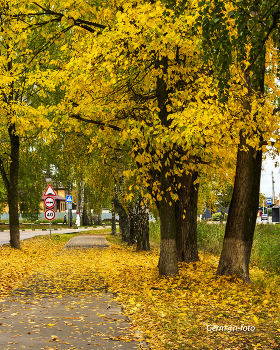 Herbst in vollem Gange / ***