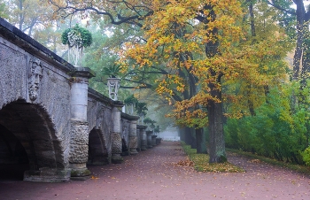 Herbst / ***