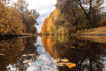 Herbst / ***