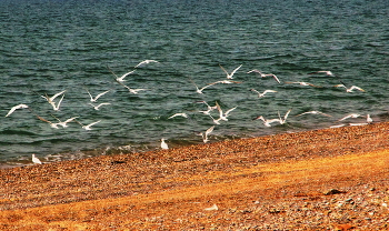 Am Schwarzen Meer / ***