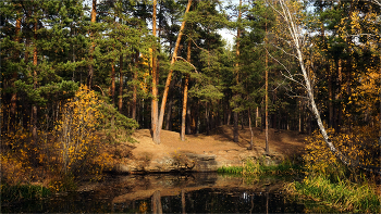 Herbst / ***