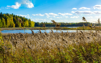 Herbst-Skizzen / ***