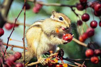 lecker! / ***