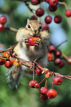 lecker! / ***