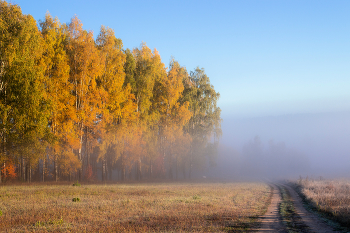 Oktobermorgen / ------------------