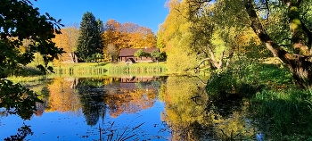 Goldener Herbst / ***