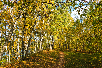 Herbst in der Stadt / ***