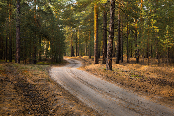 Im Herbstwald. / ***