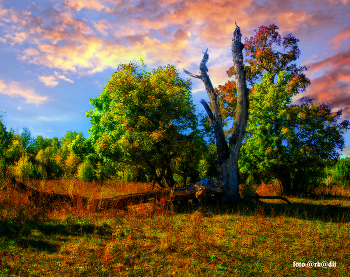 Herbstfarben. / ***