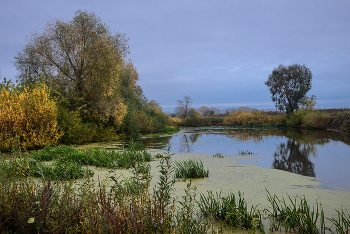 Alter Teich ... / ***